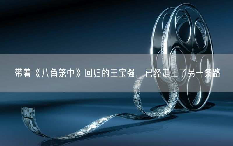 带着《八角笼中》回归的王宝强，已经走上了另一条路